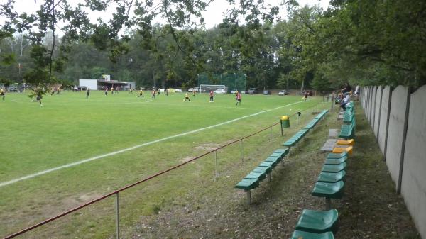 Boisko w Sieniawie Żarskiej - Sieniawa Żarska
