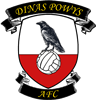 Wappen Dinas Powys FC