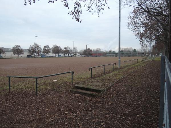 Sportanlage Burgpark Mainspitze Platz 2 - Ginsheim-Gustavsburg