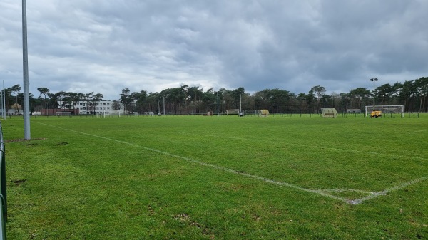Jeugdcomplex ´t Gestelbos Terrein 8 - Lommel