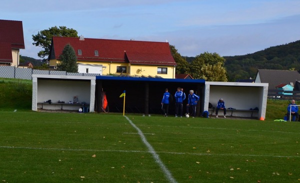 Sportanlage Eisleber Straße - Allstedt-Emseloh