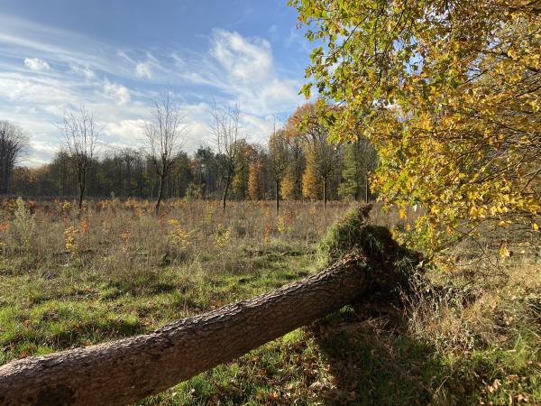 Sportplatz Happelter - Schwalmtal/Niederrhein-Amern