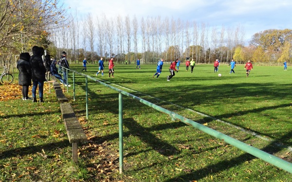 Egyedi Sportpálya - Egyed