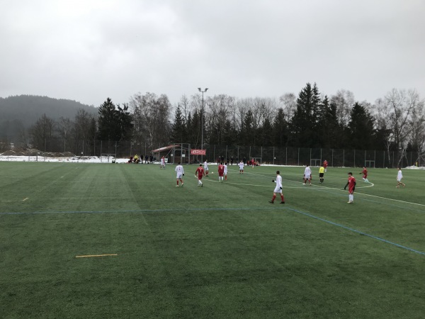 Lerchenfeldstadion Nebenplatz - Ruhmannsfelden