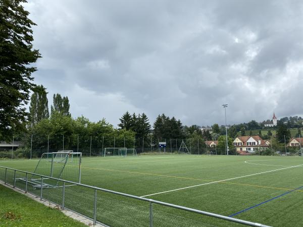 Sportanlage Hardhof Platz 9 - Zürich