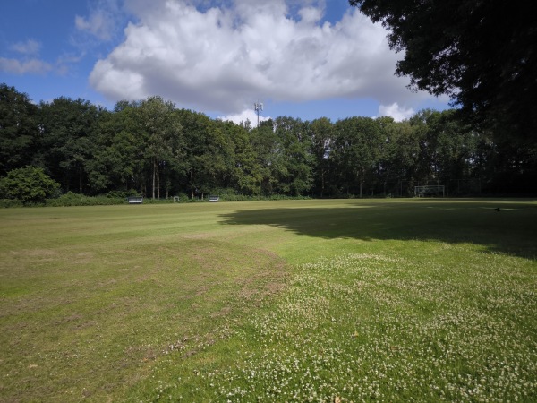 Sportpark De Wijchert veld 6 - Wijchen
