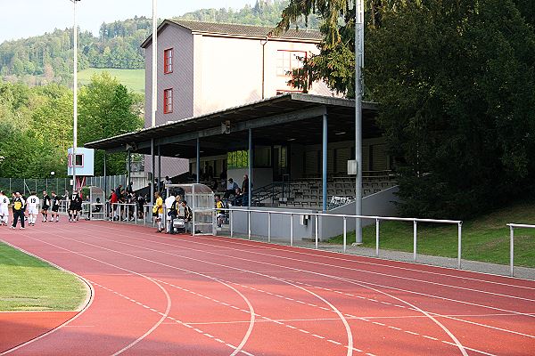 Sportplatz Liebefeld-Hessgut - Liebefeld