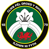 Wappen CPD Y Rhyl 1879 FC