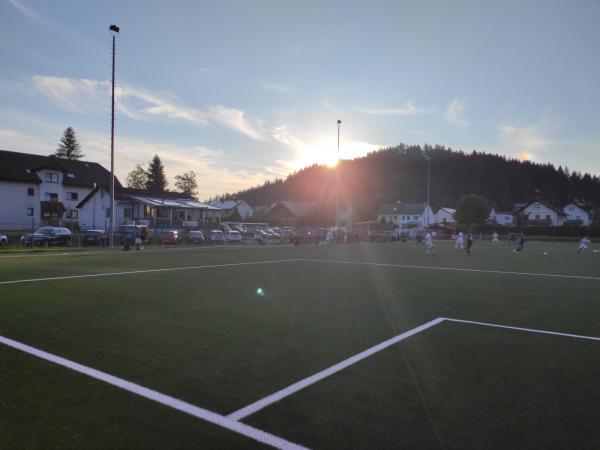 Maik-Löffler-Arena - Titisee-Neustadt