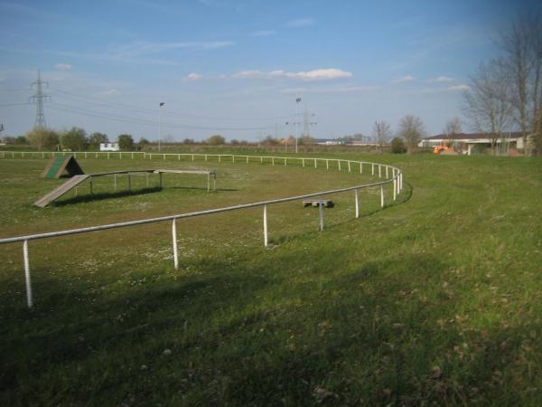 Kanalstadion - Niedere Börde-Groß Ammensleben