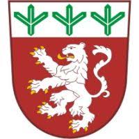 Wappen TJ Sokol Vysoké Chvojno