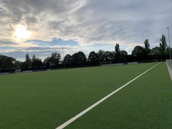 Sportanlage am Schönbusch Platz 5 - Aschaffenburg