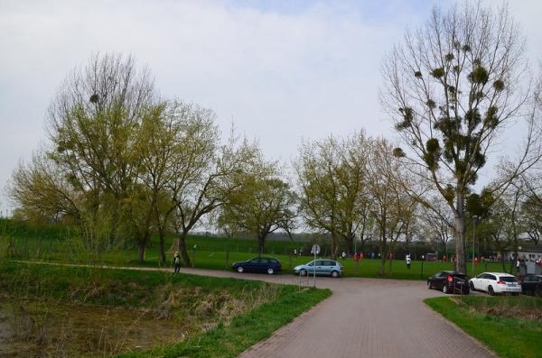 Sportplatz Seegarten 2 - Barby-Groß Rosenburg
