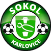 Wappen Sokol Karlovice  120132