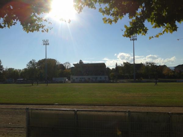 Stade Municipal de Sélestat - Sélestat