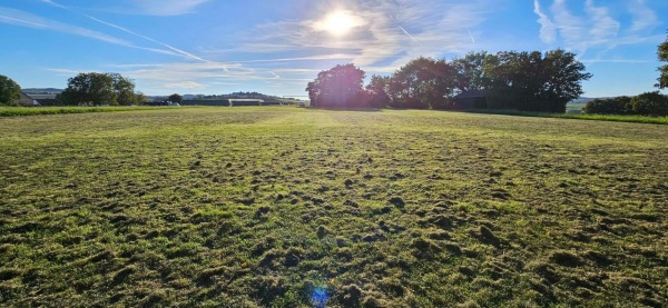 Sportplatz Steinsberg - Steinsberg/Taunus