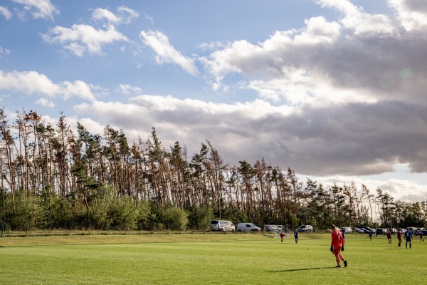 Sportplatz Waldstraße - Zeithain-Gohlis