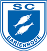 Wappen SC Barienrode 1967 diverse