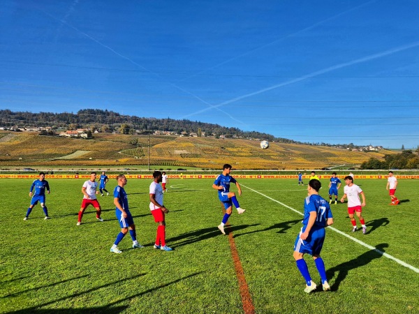 Terrain En Chanivet - Perroy