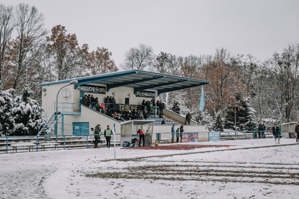 Hartenfelsstadion - Torgau