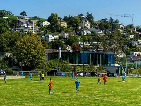 Sportplatz Sonnenfeld - Erlenbach