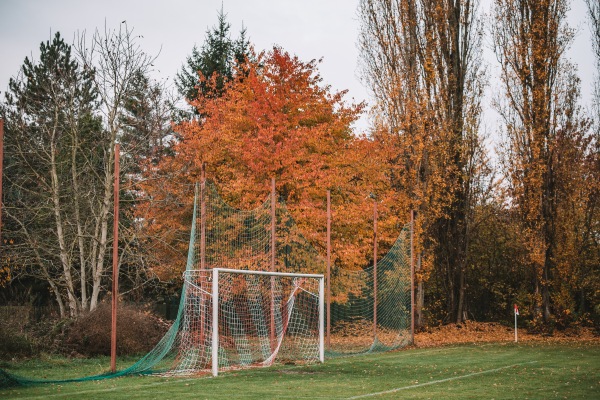 Walter-Heise-Sportplatz 2 - Leipzig-Holzhausen