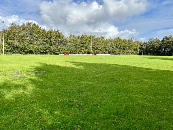 Helmut-Wandmaker-Sportplatz - Schalkholz