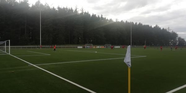 Stade Georges Wohlfart terrain annexe - Parc Hosingen