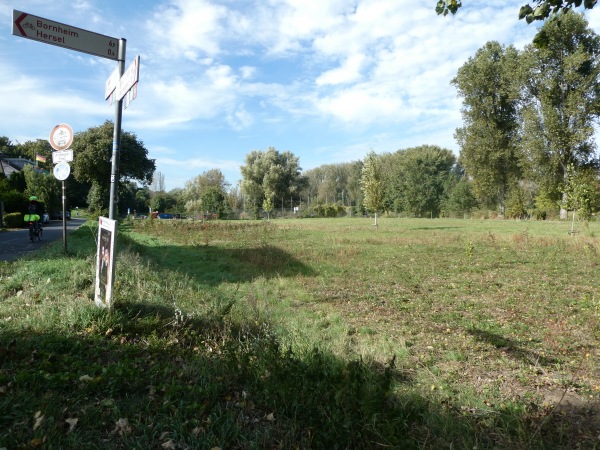 Sportplatz am Rheinufer - Bornheim/Rheinland-Hersel