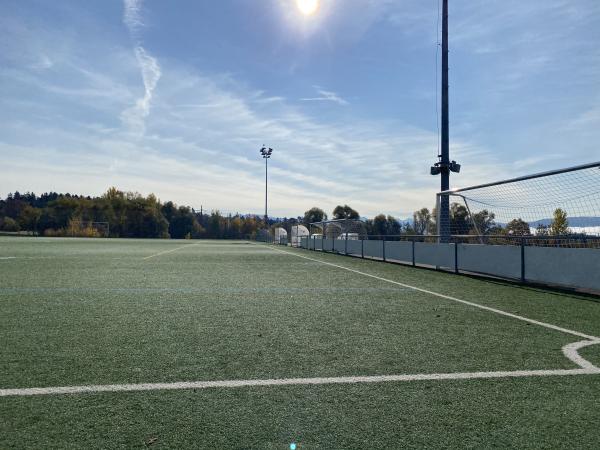 Sportanlage Griespark Platz 4 - Volketswil