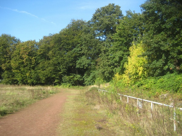 Sportplatz am Stadtpark - Leverkusen