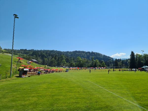 Waldstadion - Langenegg-Lingenau