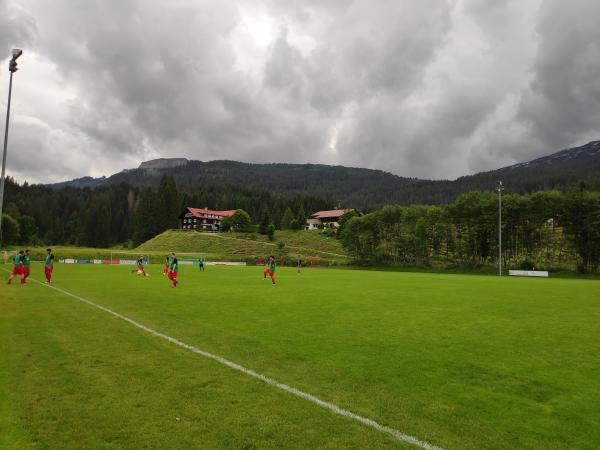 Walser Arena - Mittelberg-Hirschegg