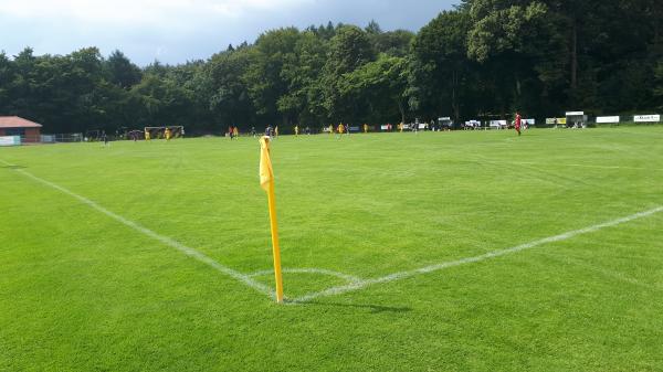 Waldstadion - Holtsee