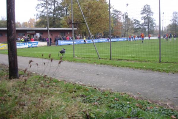 Sportplatz Groß Brunsrode - Lehre-Groß Brunsrode