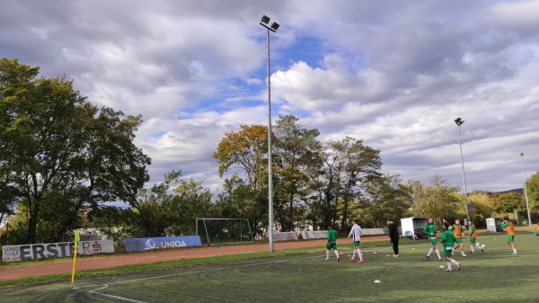 Post-Sportanlage Platz 3 - Wien