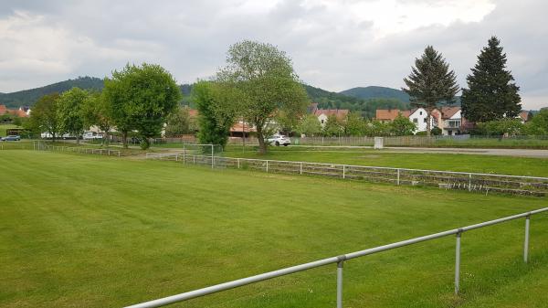 Sportplatz Grummich - Floh-Seligenthal