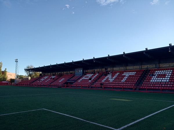 Estadio Amelia del Castillo - Pinto, MD