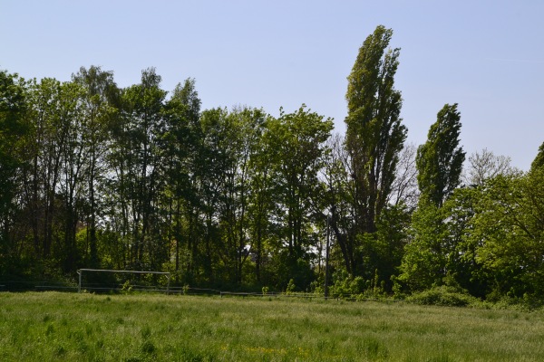 Sportplatz Anderbeck - Huy-Anderbeck