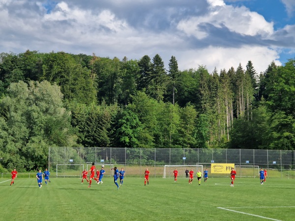 Sportzentrum Eselriet - Illnau-Effretikon