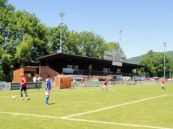 Almbacharena - Hallein