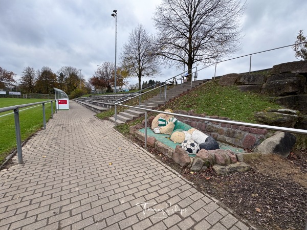 Sportzentrum Zuzenhausen - Zuzenhausen