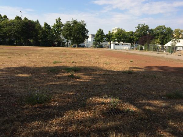 Sportplatz Am Weiher - Hochheim/Main