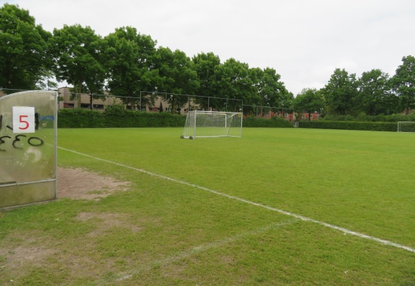 Sportpark Nieuwland veld 2 - Amersfoort