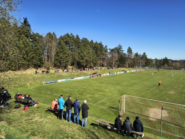 WIANTO-Stadion - Patersdorf