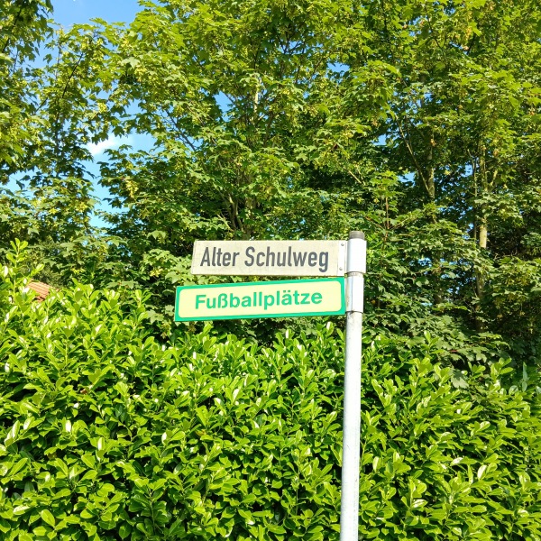 Vechte-Platz - Esche