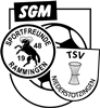 Wappen SG Niederstotzingen/Rammingen (Ground A)