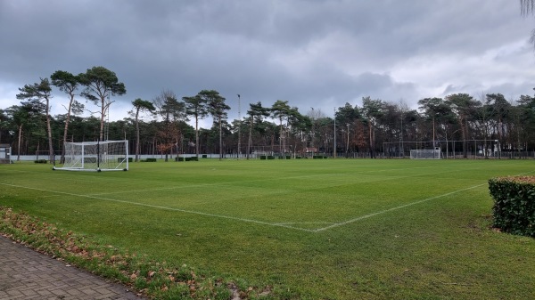 Jeugdcomplex ´t Gestelbos Terrein 2 - Lommel