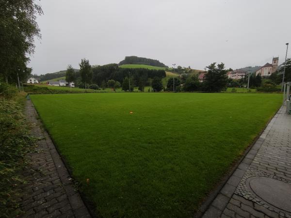 Sportplatz Welschensteinach 2 - Steinach/Baden-Welschensteinach
