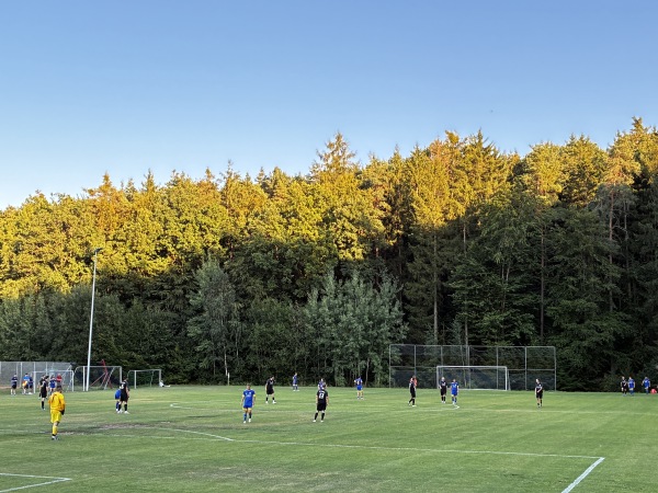 Andreas Faust Sportgelände Platz 2 - Walsdorf/Oberfranken